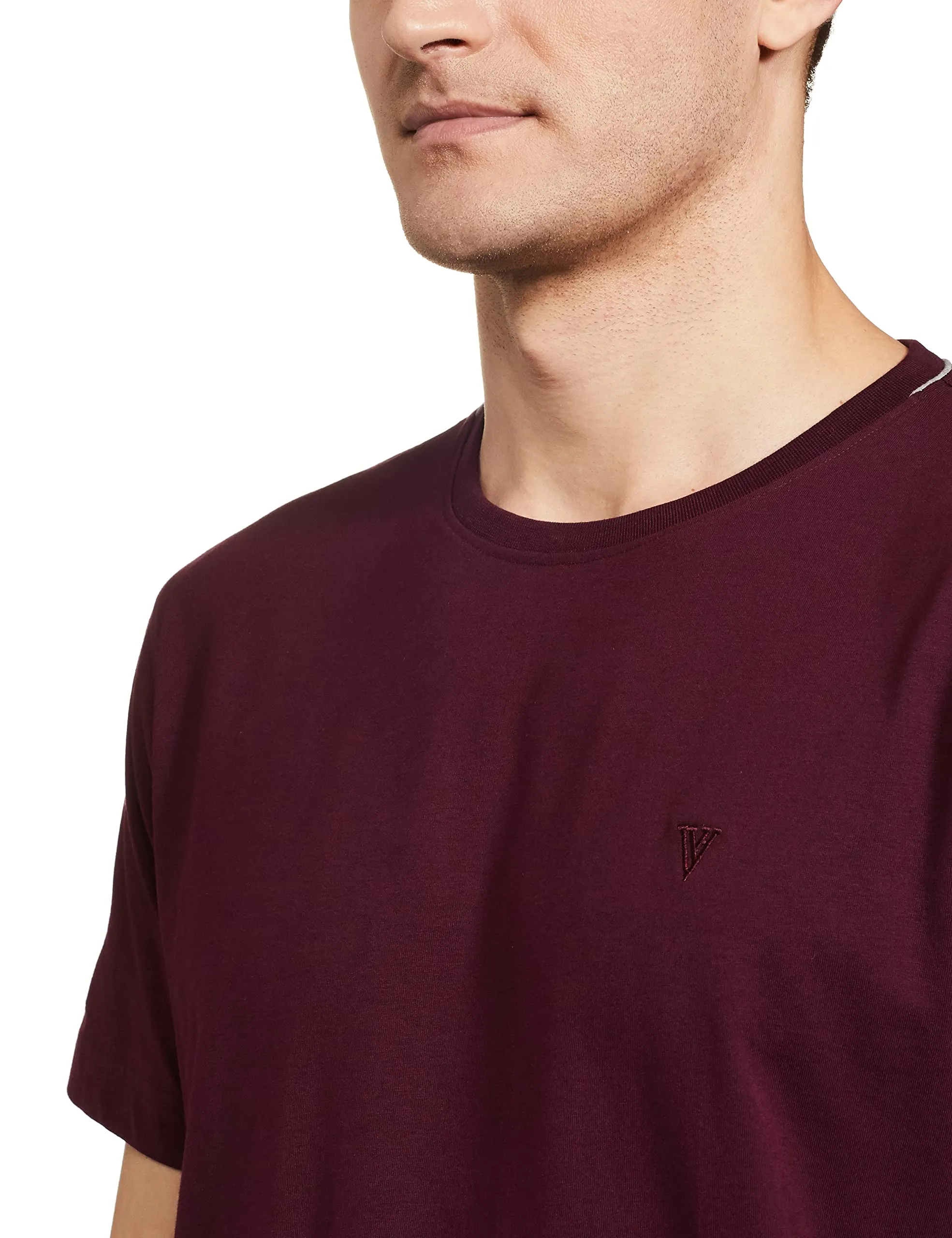 Van Heusen Athleisure Men Regular Fit T-Shirt-Cotton Rich-Smart Tech,Easy Stain Release,Anti Stat,Ultra Soft,Moisture Wicking_60021_Port Wine_L